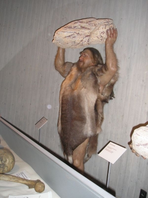 Neanderthal 012